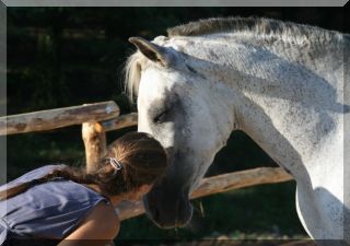 a kiss or cuddle though is always welcome