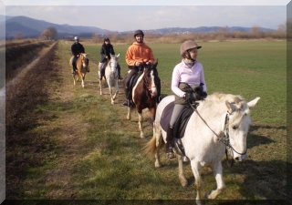 Horse riding in the Padule in the winter