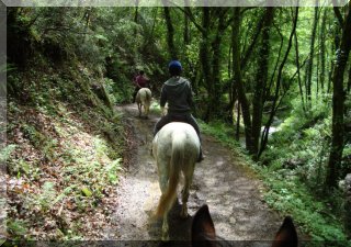 Spring time - and exploring the forest on horse