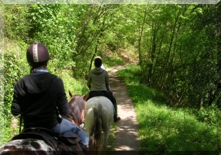 Learn to Ride