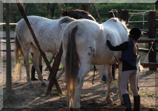 Childrens Trek at Villa Stabbia