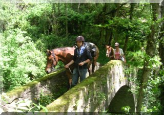 Full Day Trek