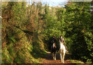 Trek for 2 to 3 hours