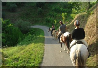 Trek for 2 to 3 hours