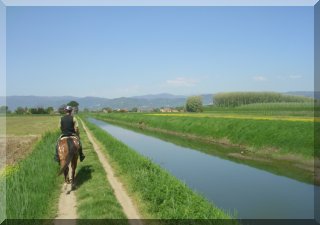 Trek for 2 to 3 hours
