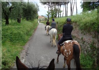 Short Trek
