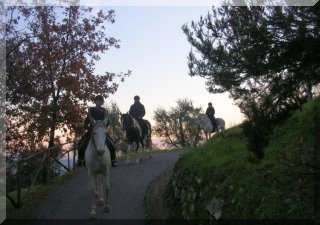 Short Trek